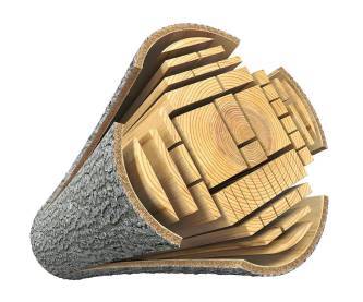 Douglas Fir - PergolaScape